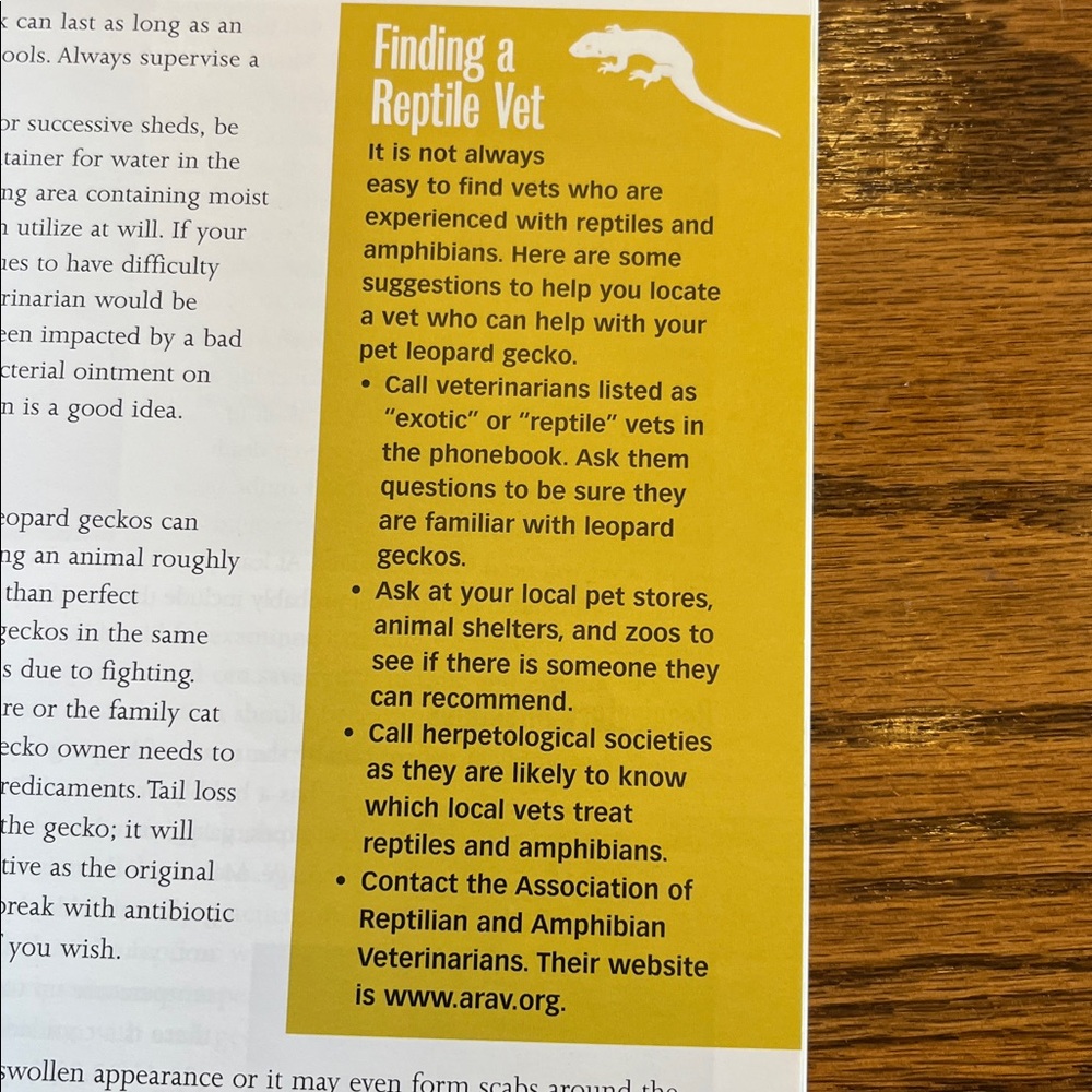 Leopard Geckos Guide Book - Picture 5 of 9